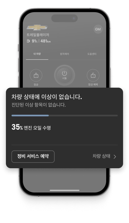 Vehicle Diagnostic Features Tab